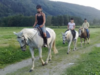 Goldfarm