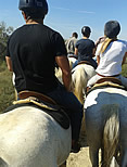 Camargue
