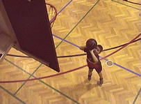 basket